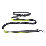 Dog Walking Belt with Detachable Shockproof Leash