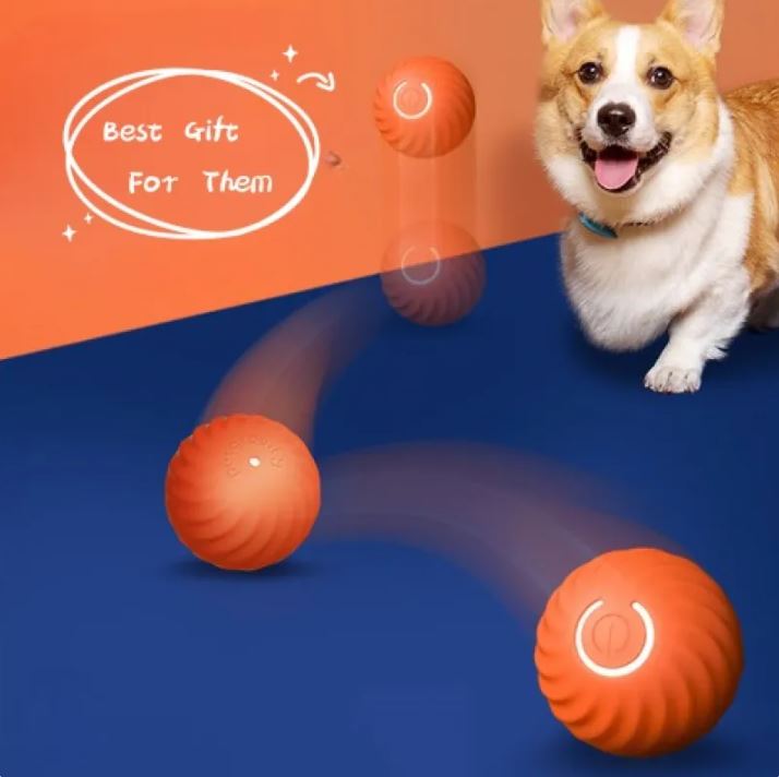 Pet Dog Rubber Ball Toys for Interactive Fetch and Chewing