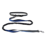 Dog Walking Belt with Detachable Shockproof Leash